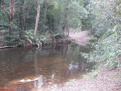 kanga Valley mtb 007
